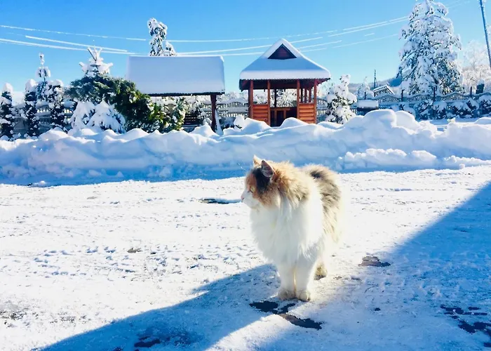 Diola Ξενοδοχείο *